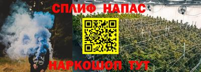 крисы Долгопрудный
