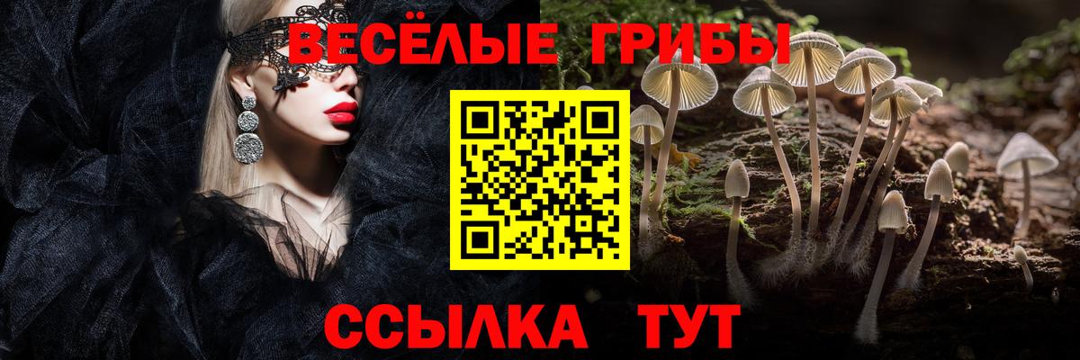 Галлюциногенные грибы прущие грибы  Вход с VPN  Орёл 