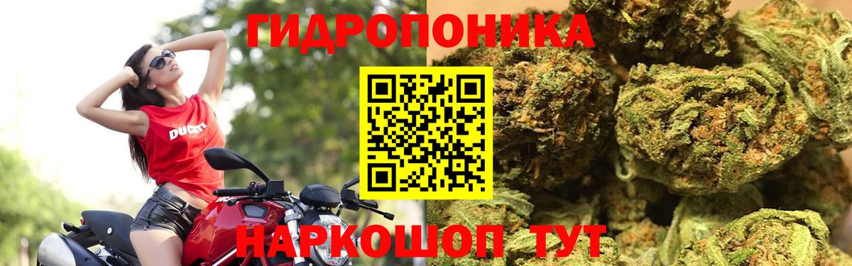 Орёл  МАРИХУАНА Bruce Banner  Вход с VPN  Каннабис OG Kush 